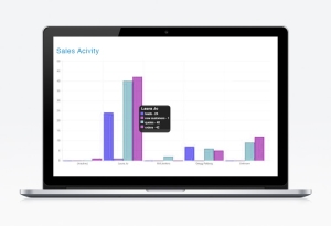 CRM Custom Reports