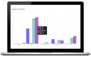 Custom Reports