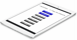 CRM Milestone
